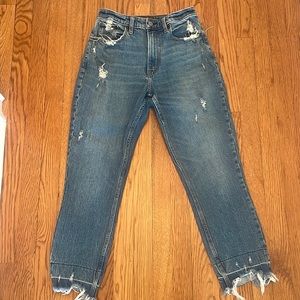 Abercrombie and Fitch High Rise Mom Jean Curve Love